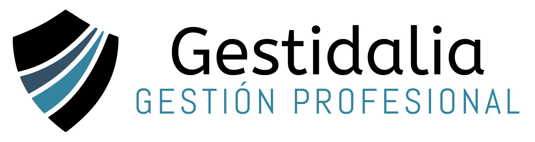 Gestidalia, Gestion Profesional
