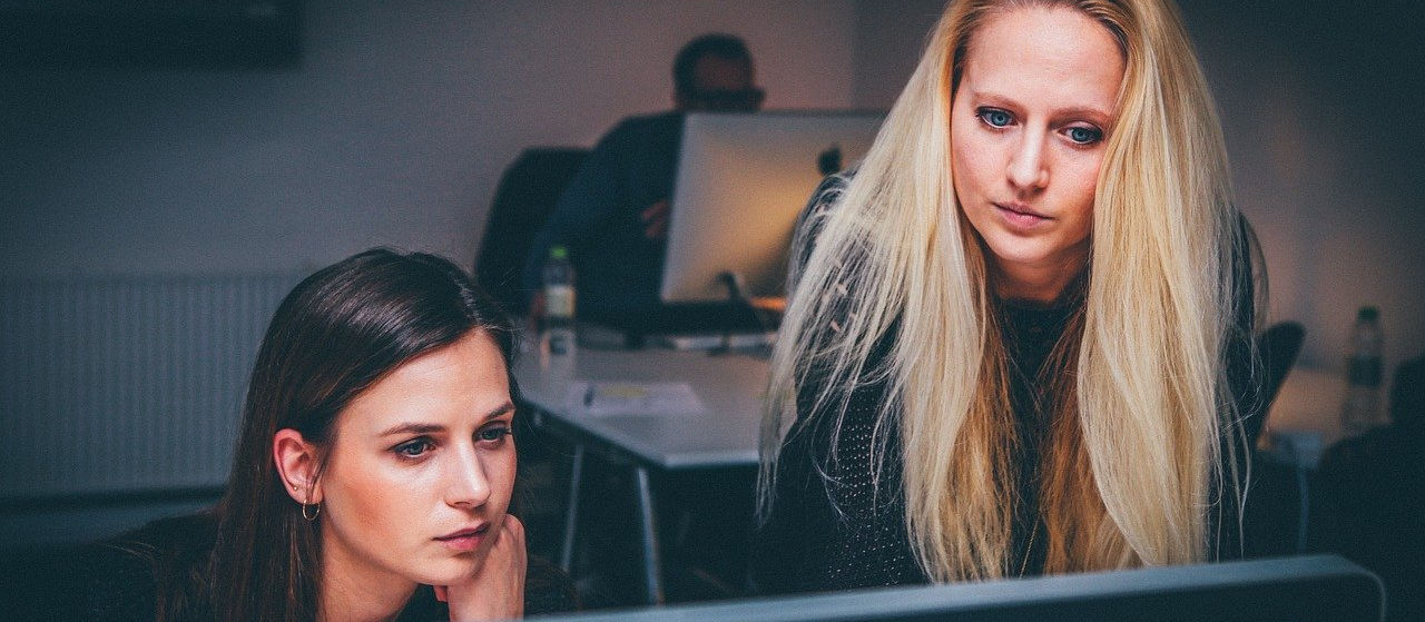 Gestidalia, Gestion Profesional